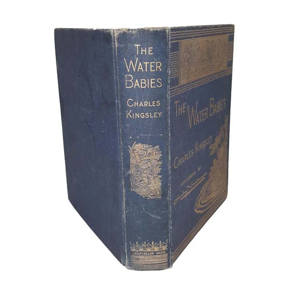 The Water-Babies by Charles Kingsley