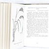 Observer's Book of Grasses, Sedges & Rushes by Francis Rose