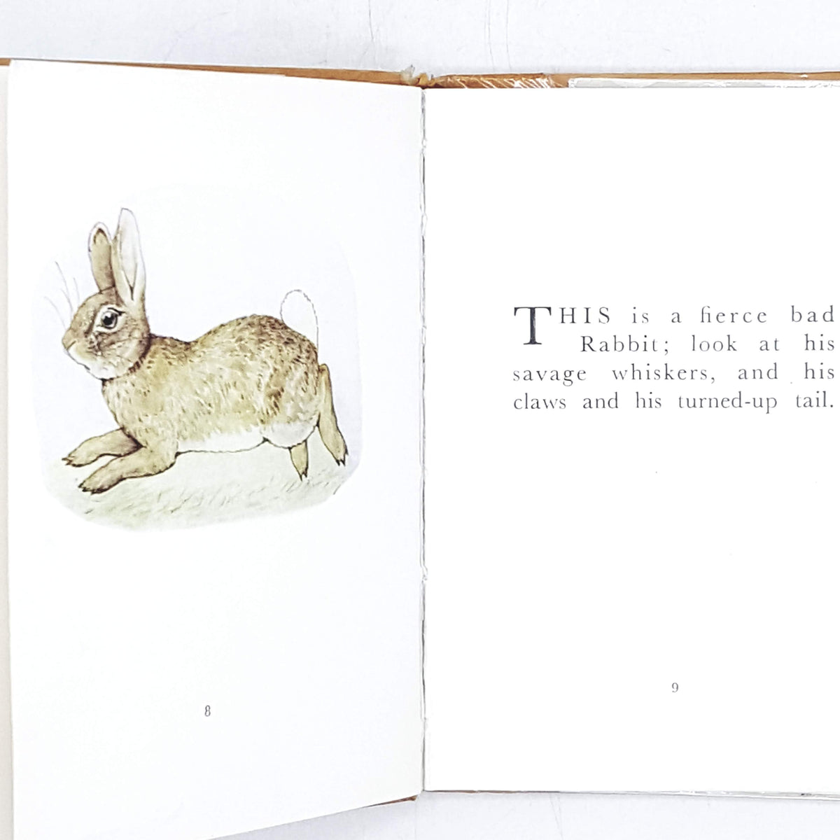 Beatrix Potter's The Story of a Fierce Bad Rabbit - White Cover