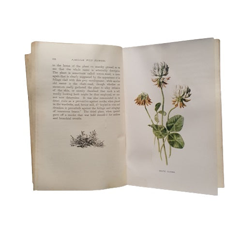 Familiar Wild Flowers by F. Edward Hulme - 6 Books