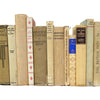 BOOKS BY THE METRE: Vintage Beige