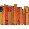 BOOKS BY THE METRE: Vintage Orange