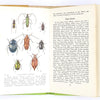 classic-library-vintage-thrift-insects-old-observer-country-house-decorative-common-patterned-spiders-antique-1975-books-