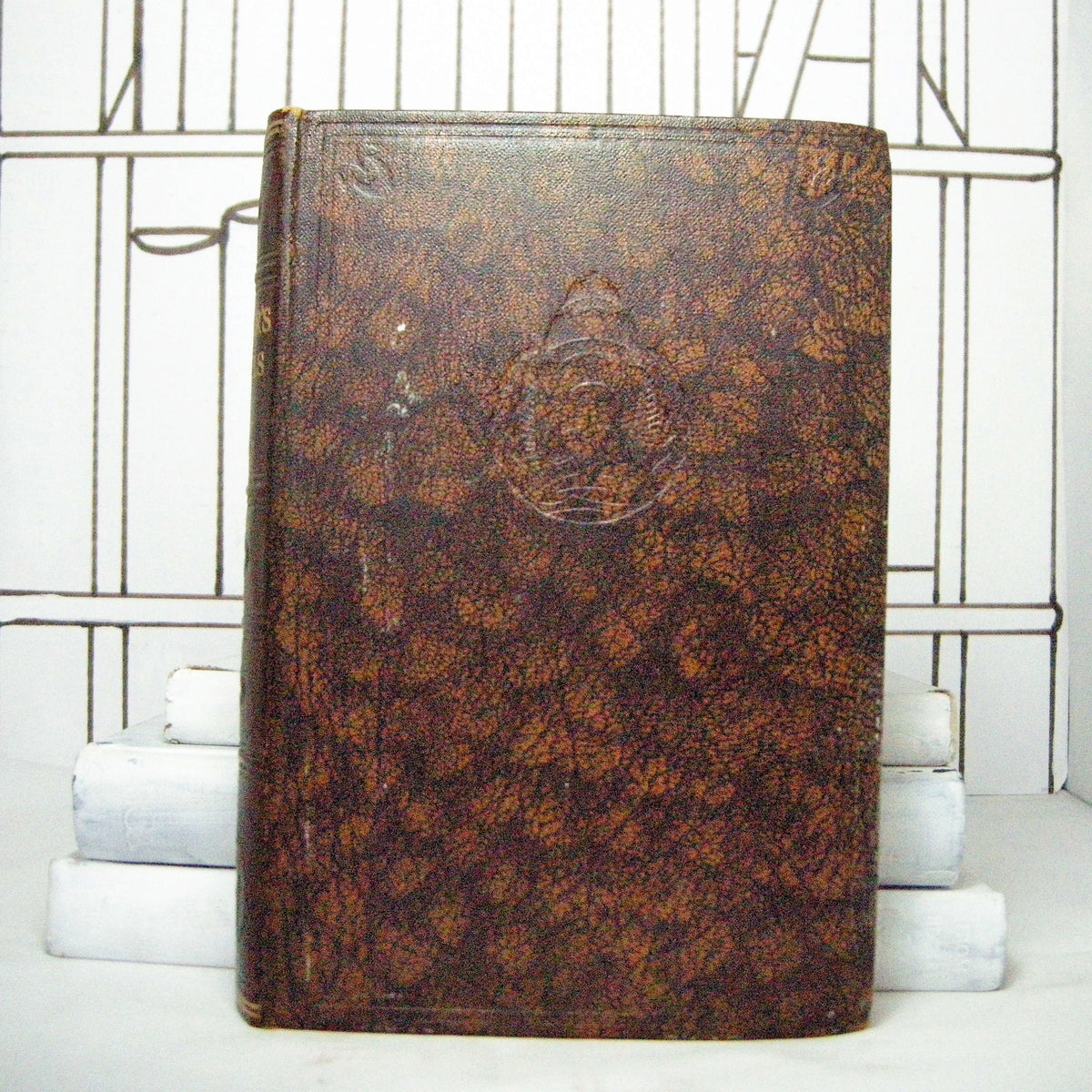 Gulliver's Travels by Jonathan Swift (Vintage, Classics, Christmas) - Bluebell Abbey