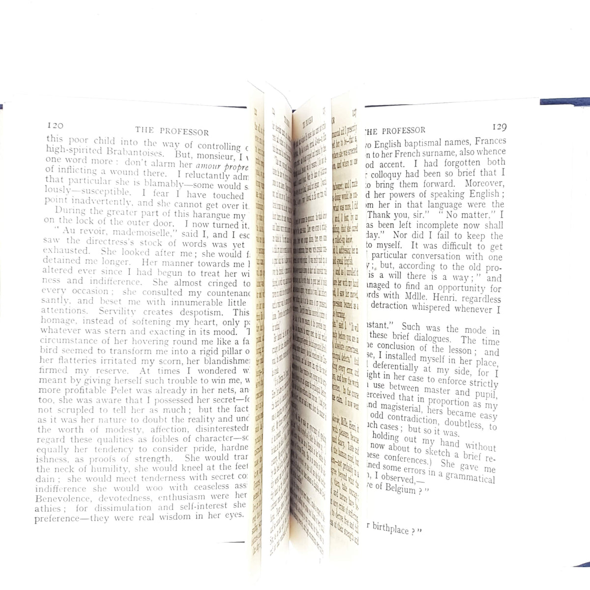 charlotte-brontes-professor