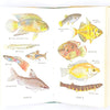 thrift-books-vintage-antique-old-tropical-fishes-library-country-house-observer-decorative-patterned-classic-1976-first-edition-