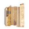 BOOKS BY THE METRE: Distressed and Authentic Collection