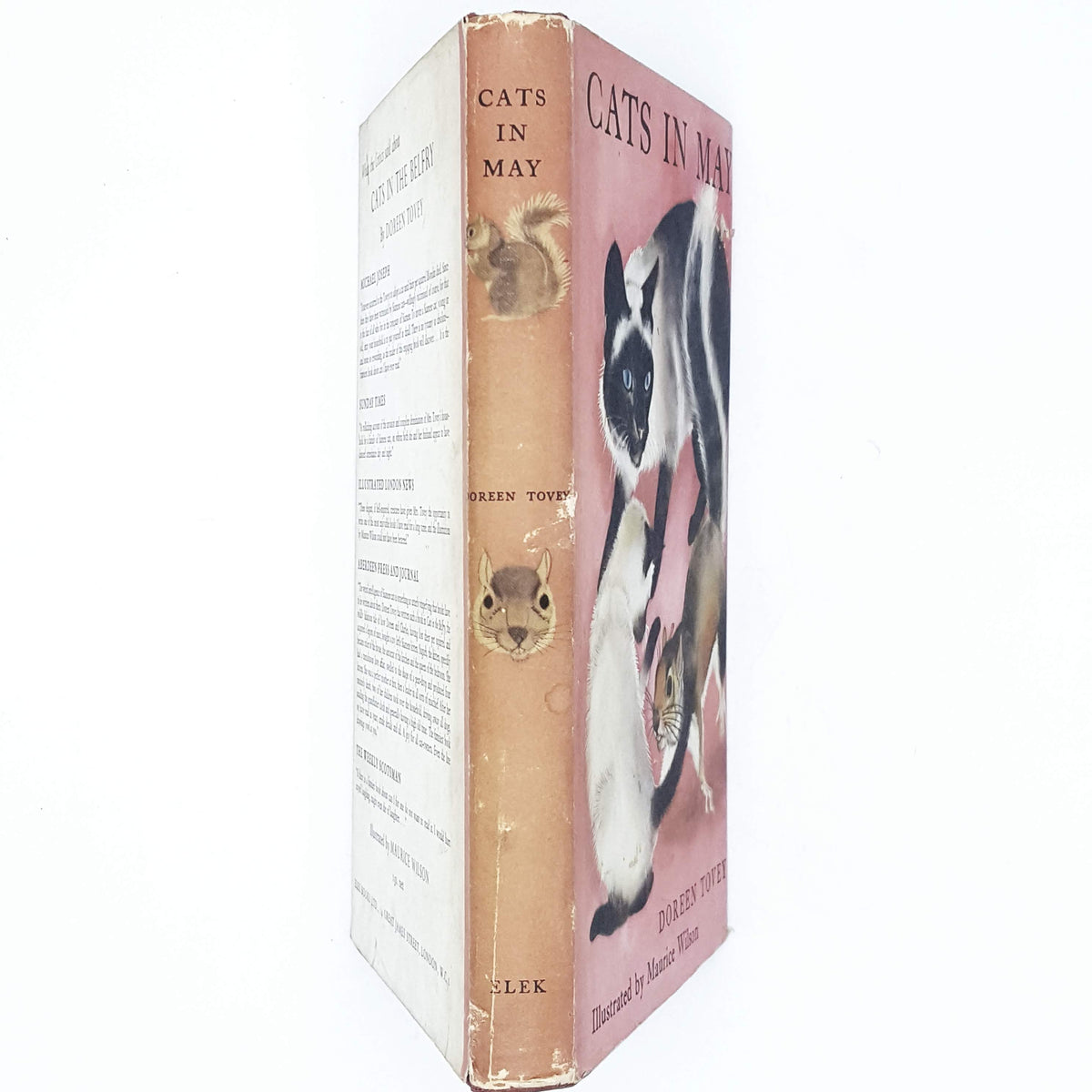 Cats in May by Doreen Tovey 1959