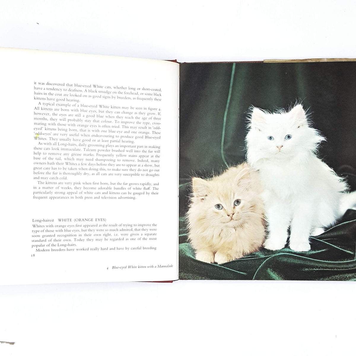 Grace Pond's The Batsford Book of Cats 1969