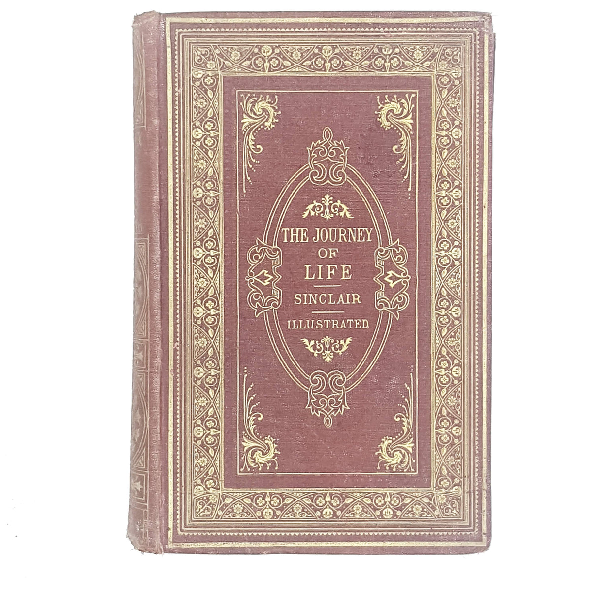 Illustrated the Journey of Life by Sinclair