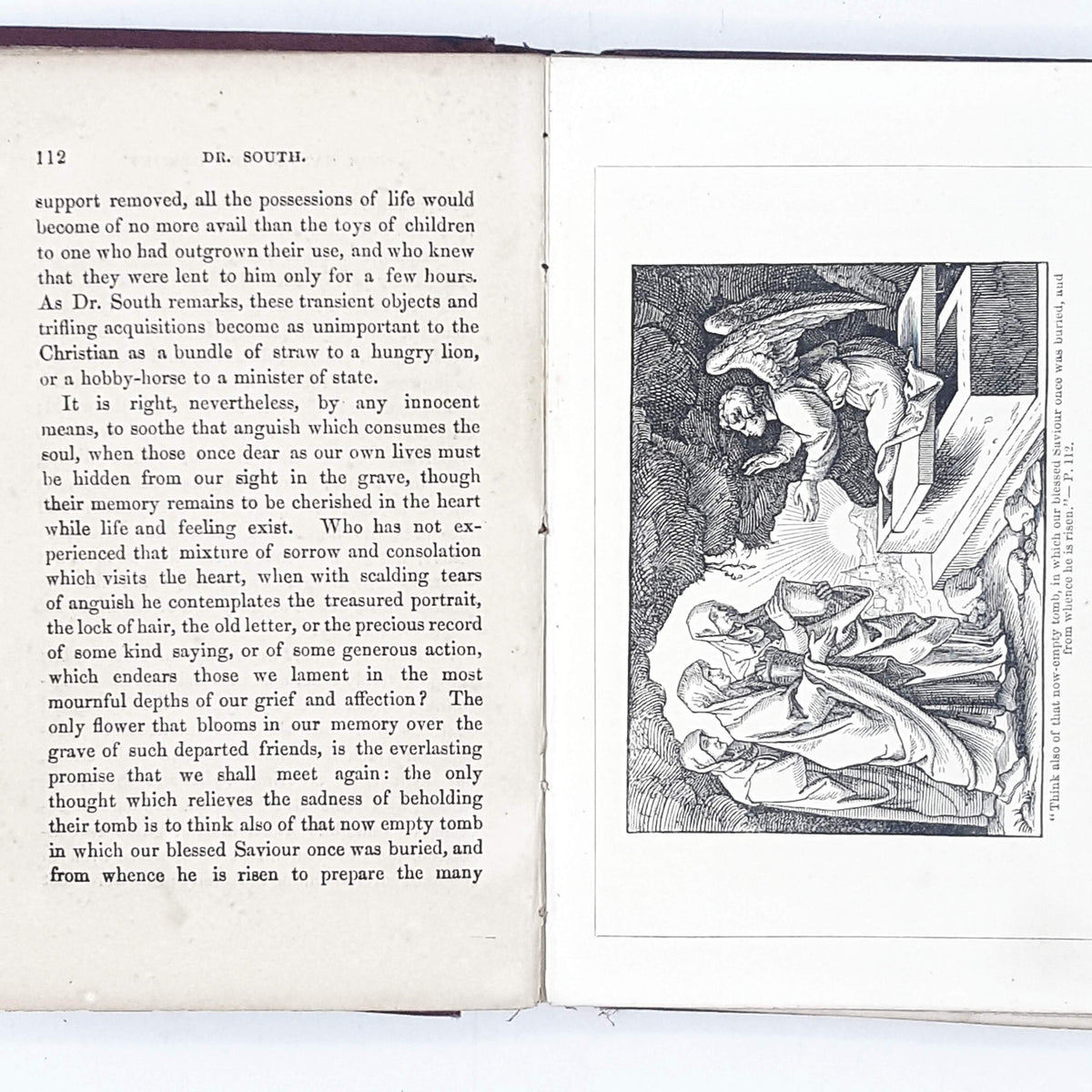 Illustrated the Journey of Life by Sinclair
