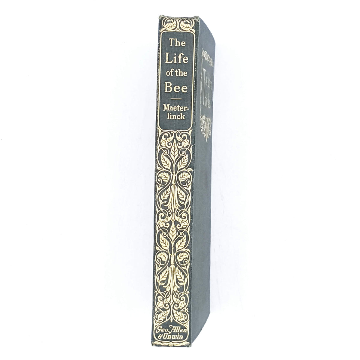 The Life of the Bee by Maurice Maeterlinck 1912