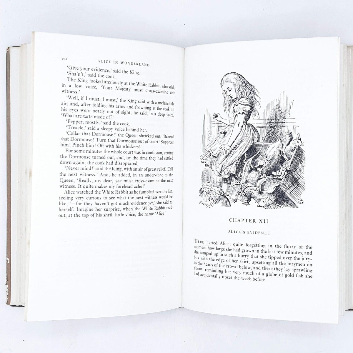 Illustrated Alice's Adventures in Wonderland and Through the Looking-Glass by Lewis Carroll 1976