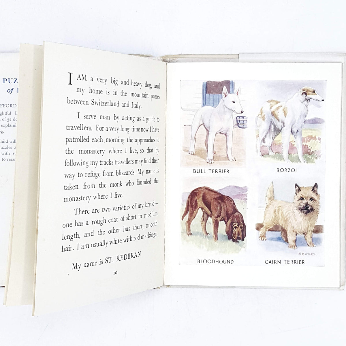 The Puzzle Book of Dogs by Clifford L. B. Hubbard 1949