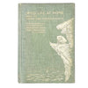 Wild Life at Home How To Study and Photograph It by R. Kearton 1904