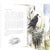 ladybird-animals-a-third-book-of-british-birds-and-their-nests-kindergarten-books-country-house-library