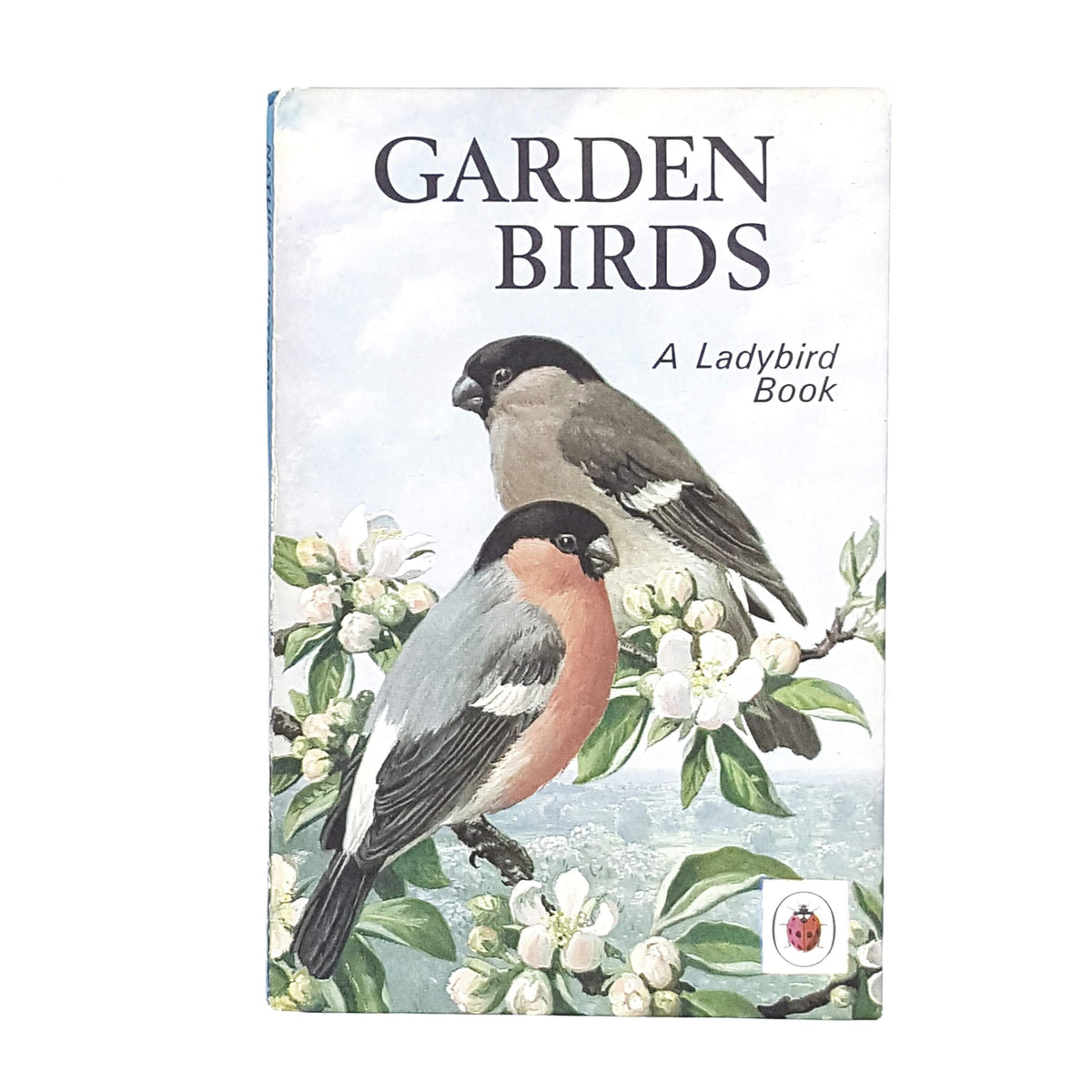 ladybird-animals-garden-birds-kindergarten-books-country-house-library