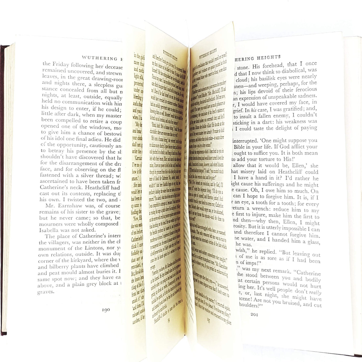 classic-emily-bronte-wuthering-heights-red-country-house-library