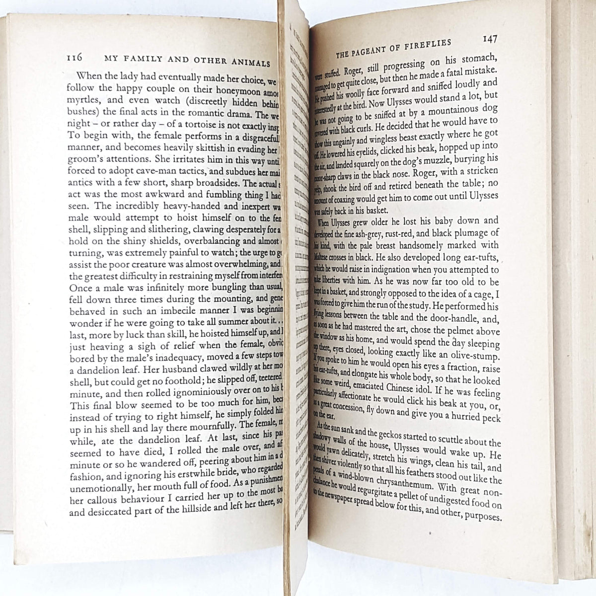 vintage-penguin-music-night-aldous-huxley-purple-country-house-library