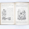 illustrated-lewis-carrolls-alice-wonderland-country-house-library