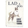 illustrated-lad-a-dog-country-house-library