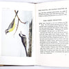 old-book-birds-nature-country-house-library