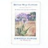 British Wild Flowers: Cornfield Flowers by Wilfred Willet