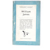 vintage-pelican-william-james-by-margaret-knight-1950-antique-pale-blue-country-house-library