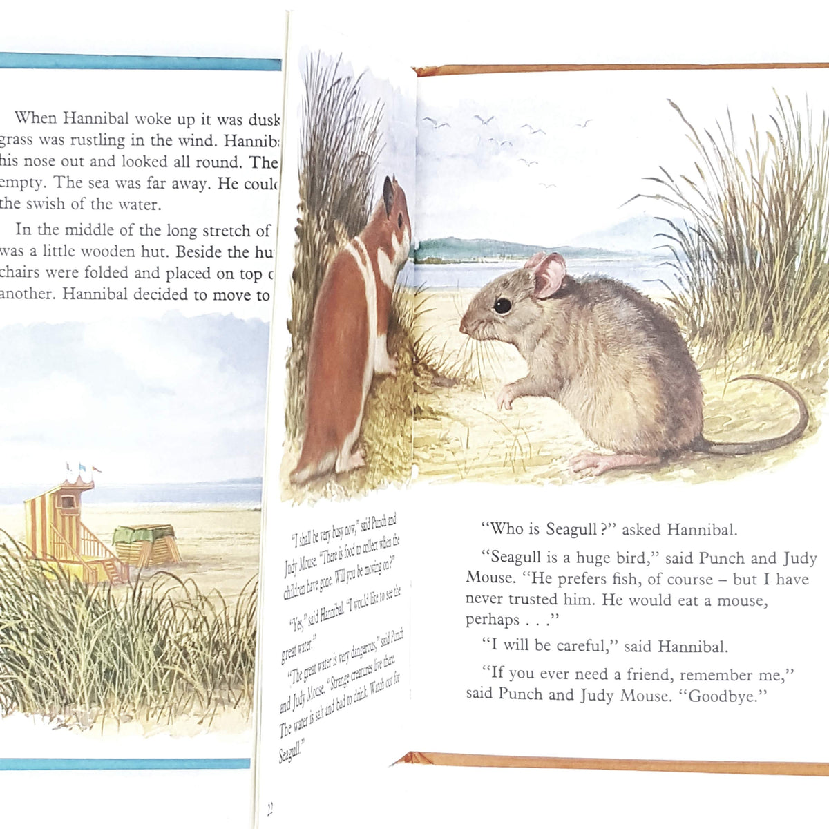 vintage-ladybird-hannibal-on-holiday-kindergarten-books-country-house-library