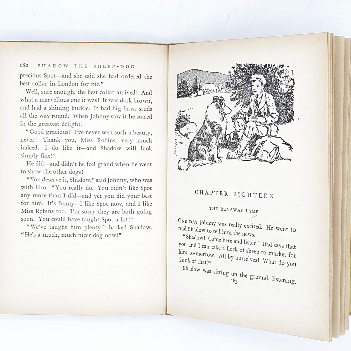 illustrated-enid-blytons-yellow-shadow-the-sheep-dog-country-house-library