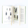Observer's Book of Common British Insects and Spiders 1953
