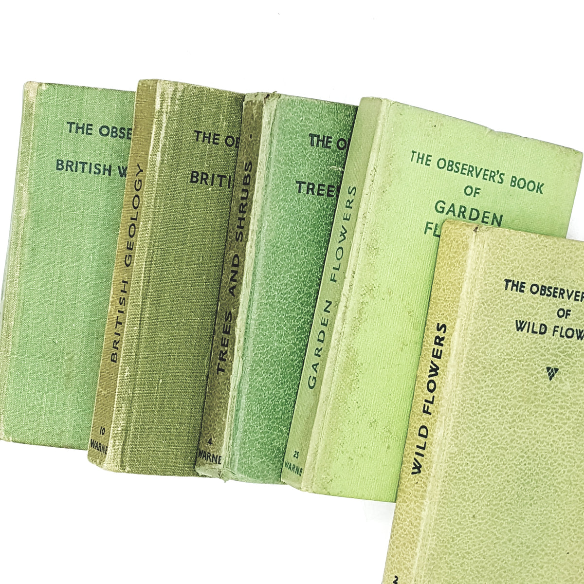 grasses-books-old-Observer-Guides-churches-green-butterflies-seeds-&amp;-rushes-vintage-Vintage-british-english-classic-Collection-birds-country-house-library-antique-flowers-patterned-music-thrift-decorative-old-garden-