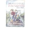 mark-twain-adventures-tom-sawyer-country-house-library