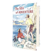 enid-blyton-sea-vintage-country-house-library