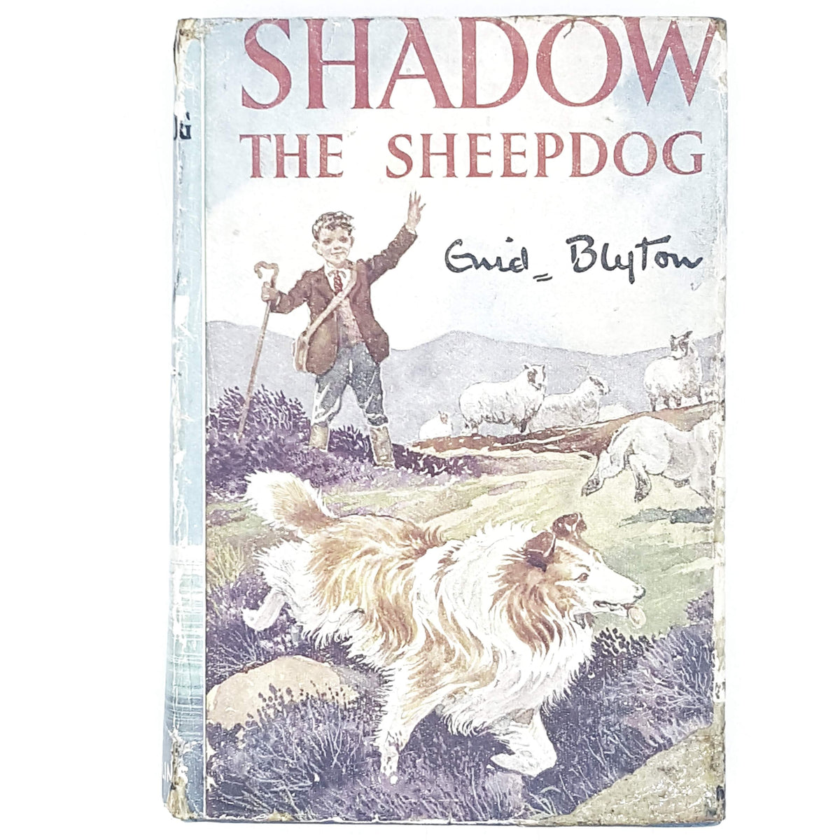 enid-blyton-dog-vintage-country-house-library