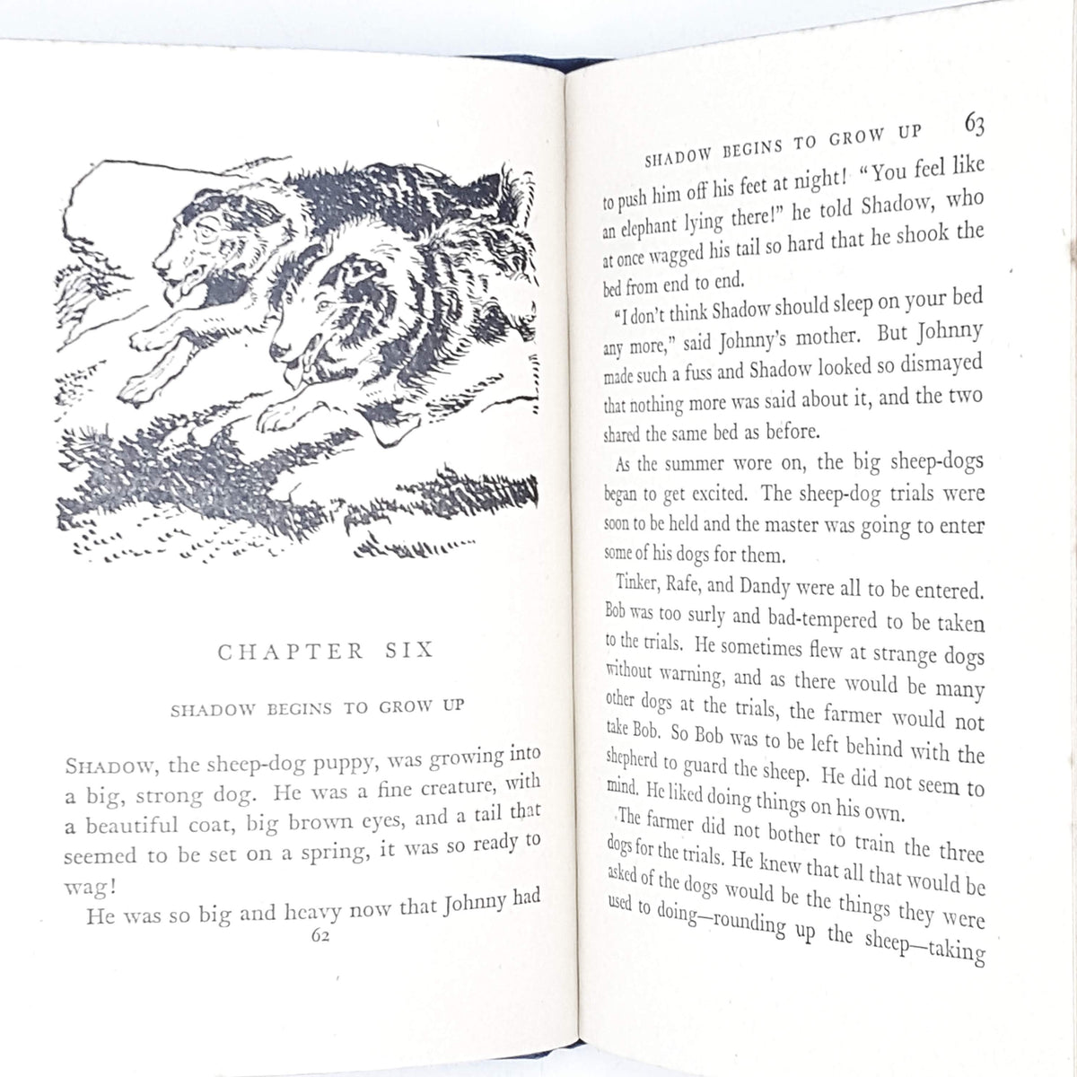 Enid Blyton's Shadow the Sheepdog 1966