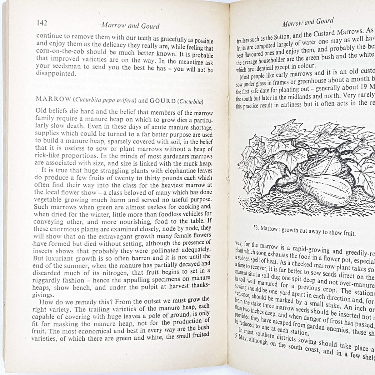 First Edition Penguin Handbook: The Vegetable Garden by E. R. Janes 1954