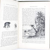 Illustrated Wonders of the Tropical Forests 1888