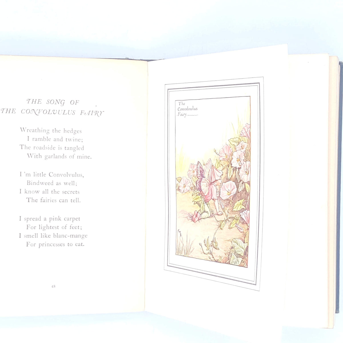 The Book of the Flower Fairies by Cicely M. Barker