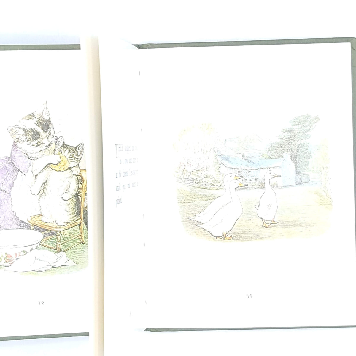 Beatrix Potter's The Tale of Mrs. Tiggy-Winkle - Blue Cover