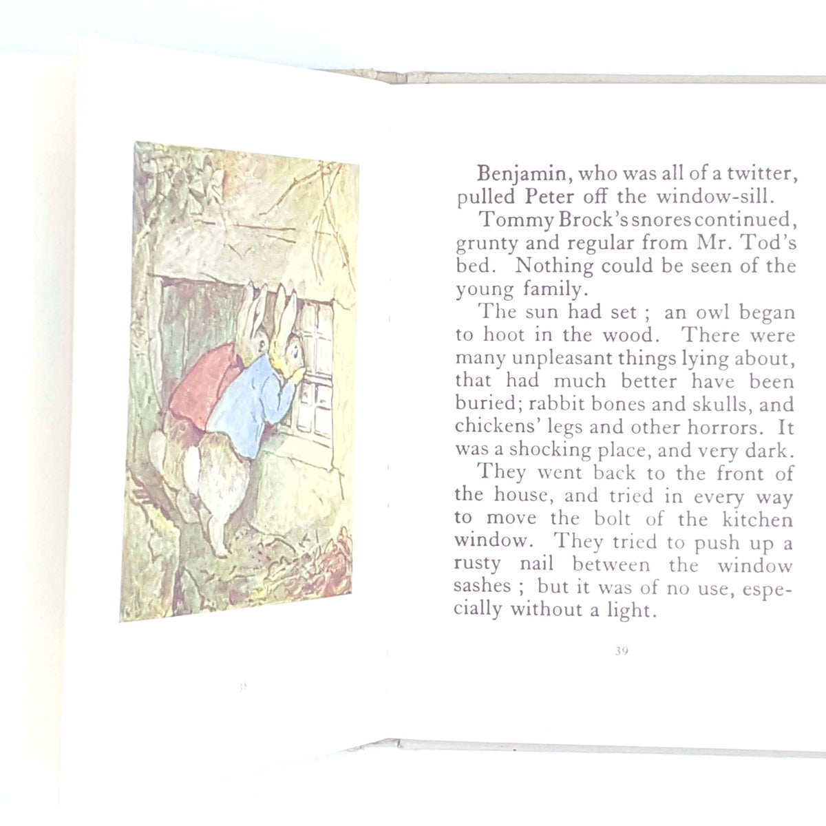 Beatrix Potter's The Tale of Mr. Tod - Grey cover