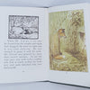 Beatrix Potter's The Tale of Mr. Tod - Vintage, Green Cover