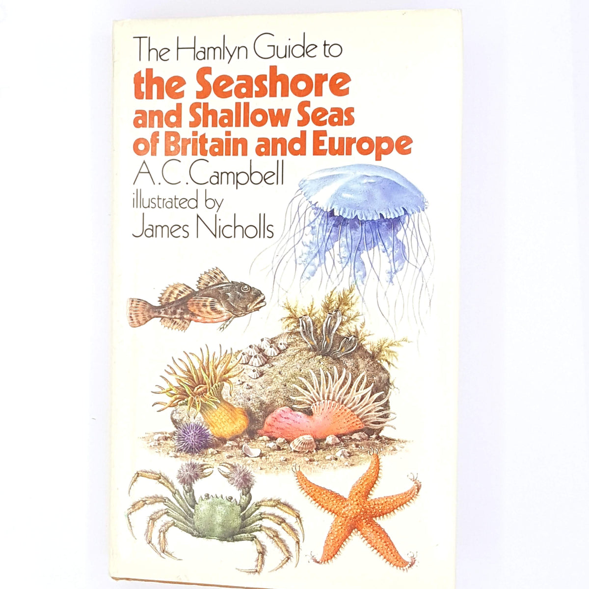 thrift-vintage-patterned-sea-decorative-seashore-sealife-beach-old-country-house-library-books-antique-A.C.CAMPBELLclassic-