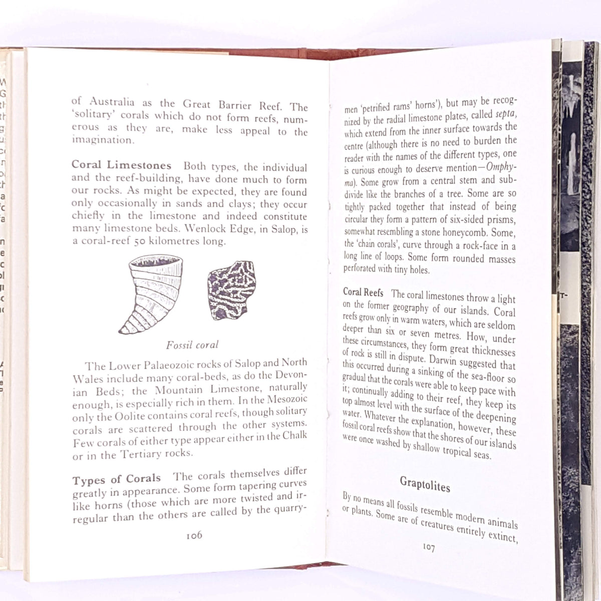 The Observer's Book of Geology by I. O. Evans 1974