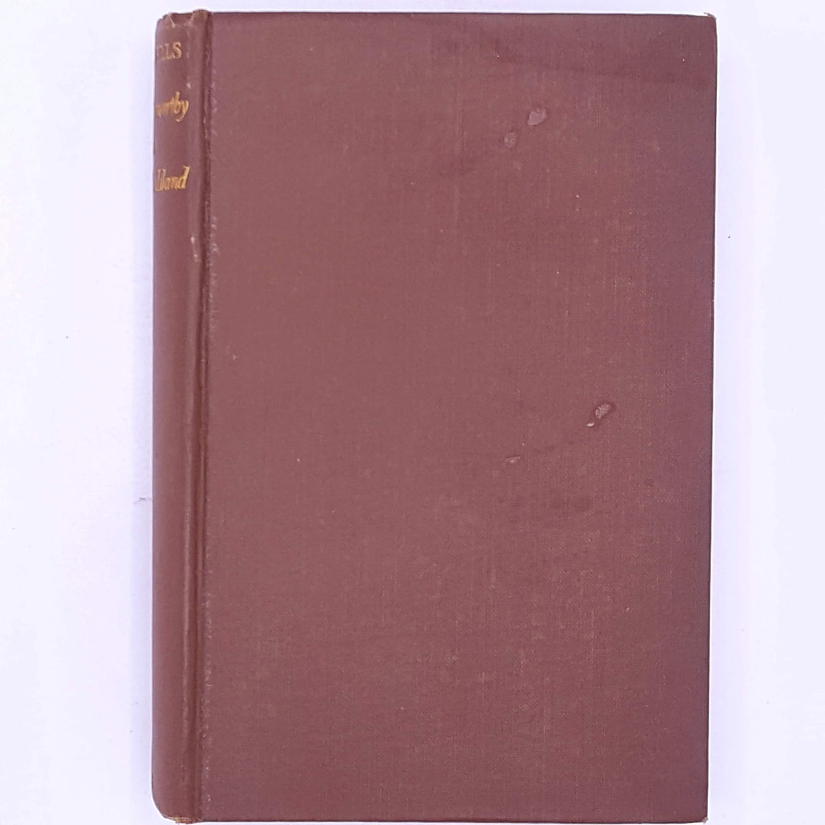 antique-old-decorative-country-house-library-thrift-vintage-patterned-H.G-Wells-Mr-Blettsworthy-on-Rampole-Island-classic-books-