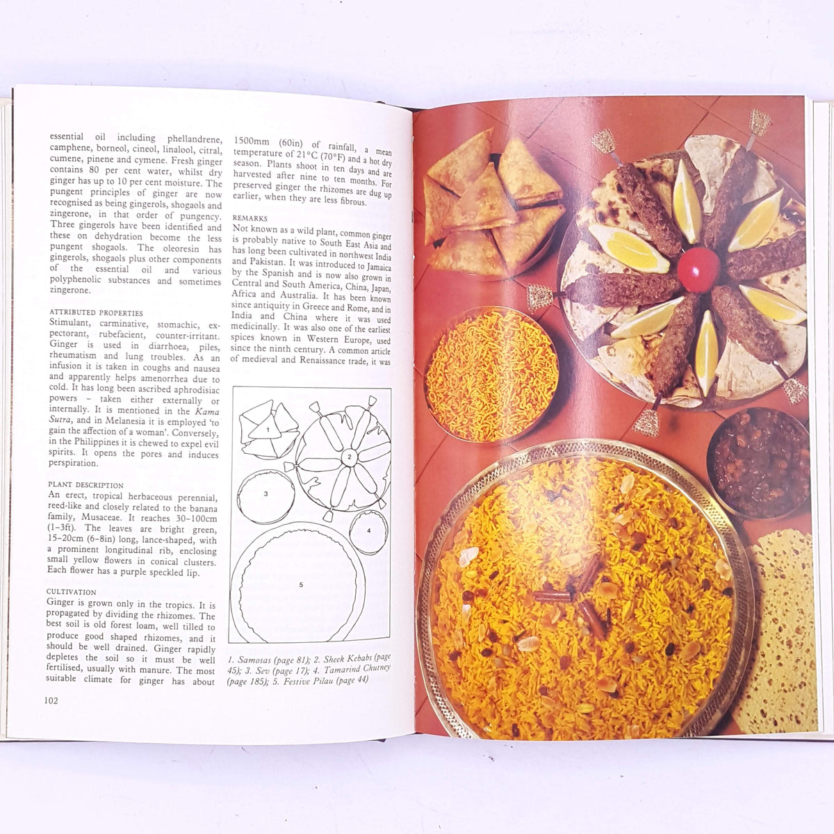 Cooking with Spices by Carolyn Heal &amp; Michael Allsop