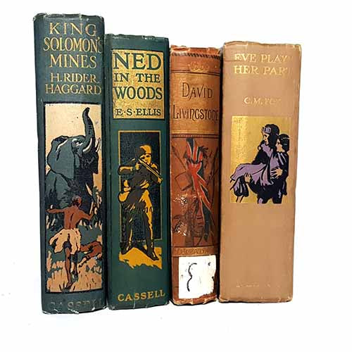 country-house-library-multi-coloured-vintage-books-by-foot