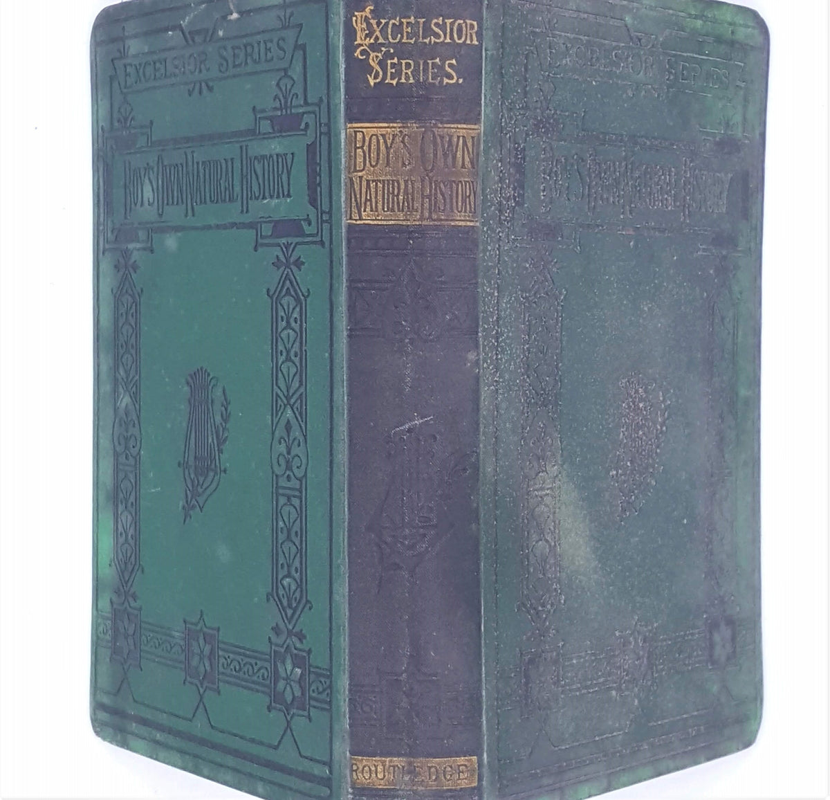 The Boy's Own Book of Natural History by Rev J G Wood