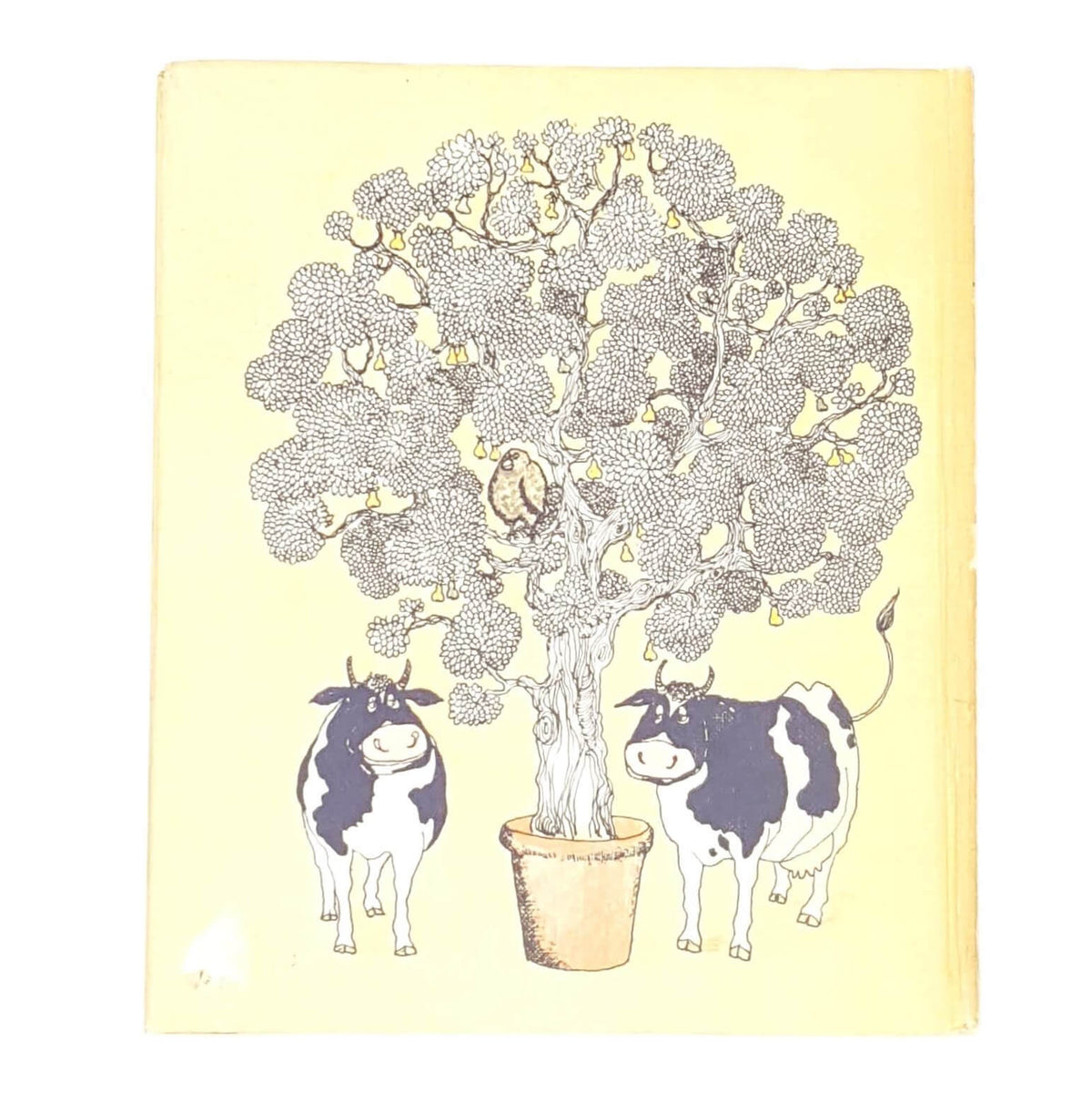 Manghanita Kempadoo’s Letters of Thanks