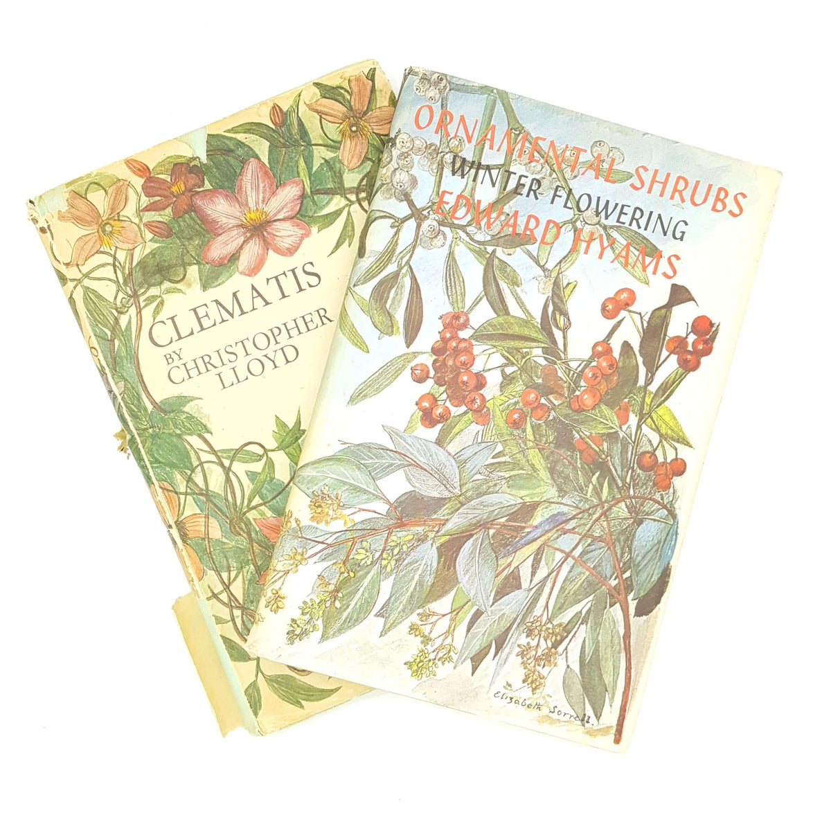 Ornamental shrubs and Clematis 1967